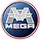 Mega Logo